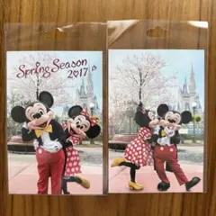 【新品】東京ディズニーリゾート ポストカード 2枚セット ミッキー ミニー 桜