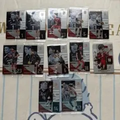 男子バレー ウエハース まとめ売り