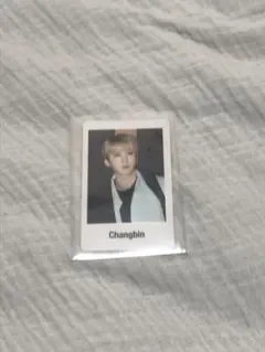 StrayKids スキズ ALL INトレカ チャンビン