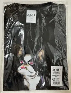 Item thumbnail for item cf8bcc49-a77d-4465-9b0a-457f97811795