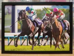 Item thumbnail for item 344be42c-6f22-4884-b178-f0082707783f