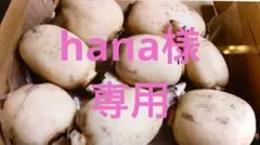 hana様専用