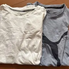 PUMA Tシャツ 2枚セット ホワイト グレー