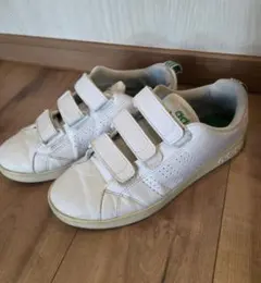 adidas スニーカー ホワイト ベルクロ25.0㎝