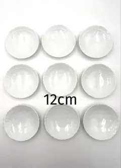 2025年最新】リチャードジノリ ベッキオホワイト小皿の人気アイテム