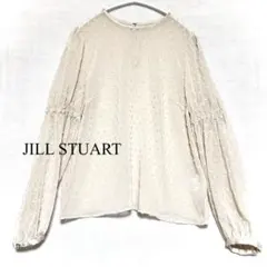 ✴︎JILL STUART ベージュ ドビードット シースルー 長袖 S✴︎のサムネイル