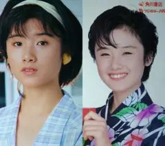 西村知美 超大量 240P ファイル 4冊 切り抜き 1985年〜1993年 - メルカリ