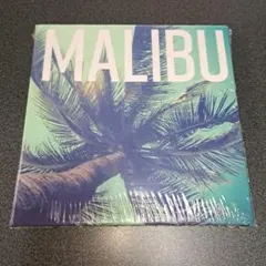 アートパネル ヤシの木 MALIBU