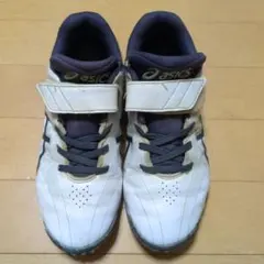asics　野球トレーニングシューズ、スパイク　22.5センチ