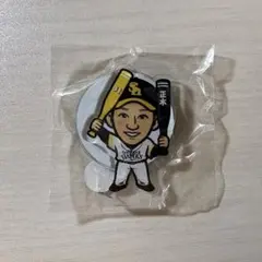 若鷹ガチャ 31 正木智也 アクリルスタンド 本日発送⭕️ - メルカリ