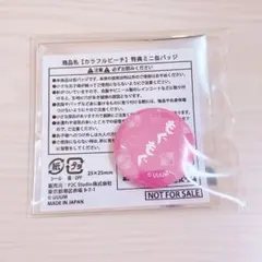 カラフルピーチ のあさん からぴちコレクションvol.3 EC特典ミニ缶バッジ
