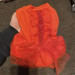 Item thumbnail for item 42c95952-af4c-4733-a15c-5f3aedc23ceb