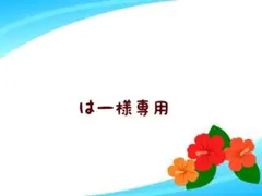 はー様 リクエスト 6点 まとめ商品