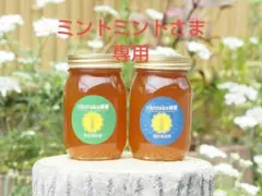 日本蜜蜂完熟ハチミツ(600g×2)