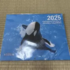 Item thumbnail for item 66285669-3e9a-4ca4-b02b-afa11cae63f6