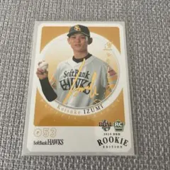 Item thumbnail for item e1a9e029-511f-4e17-bfa4-ee3dd9f7cafa