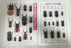 Item thumbnail for item 4c71a693-37c7-4e94-8f91-e2869b093848