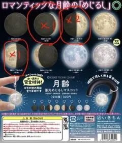 月齢蓄光めじるしマスコット⭐︎月齢3・7・23〈半球〉4個セット