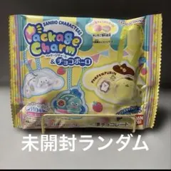サンリオ パッケージチャーム&チョコボーロ 未開封 ランダムのサムネイル
