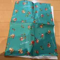 Item thumbnail for item b3d8b083-a6d7-4005-b5d8-544f007fcc19