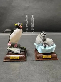 いきもん　南極特装版ガチャ　イワトビペンギン　コウテイペンギン（ヒナ）２個セット