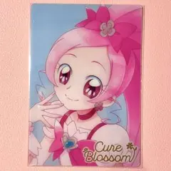 2026年最新】キュアブロッサム hrの人気アイテム - メルカリ