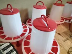 Item thumbnail for item de14afdb-2dfe-475e-b214-c04fd4f10b70