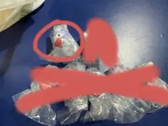 ナーススイングマスコット クロミ