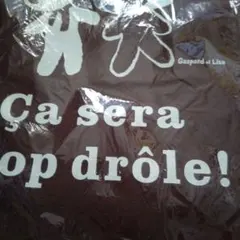 Item thumbnail for item 12fbe626-0b2e-49d7-92a4-4cbf73440d6c