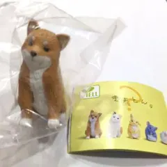 きょとん。 フィギュア 豆しば 가챠 柴犬 カプセルトイ