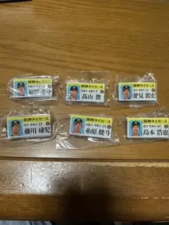 阪神タイガース　2019 ガラコロ　アクリル名札 6個セット