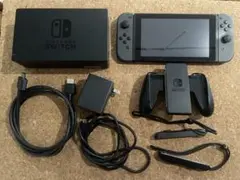 Nintendo Switch 本体 グレー（付属品＆純正ケース付き）