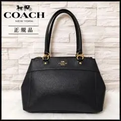COACHコーチレザーハンドバッグネイビー肩掛けショルダーバッグWファスナー