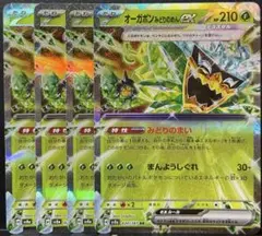 【テラスタルフェス】オーガポンみどりのめんex 4枚セット