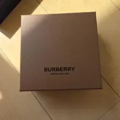 Burberry 箱のサムネイル