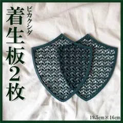 着生板 盾型 2枚セット ブルー 観葉植物ビカクシダ - メルカリ