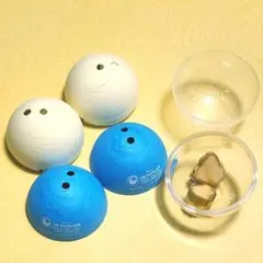 UAEパビリオン　カプセル　ナツメヤシ　と国連パビリオン　カプセル　万博