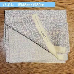 Item thumbnail for item ca3fca54-bba3-41d7-be37-3f47cc822c07