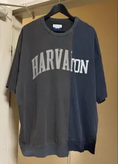 MAISON SPECIAL 25ss ドッキング半袖カットソーのサムネイル