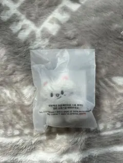 SKZOO マイクロキーリング ジニレット SKZ 5CLOCK ペンミ