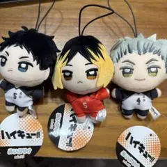 ハイキュー ぬいぷりけmini3 3種セット