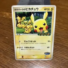 ポケパークのピカチュウ PROMO PCG-Pプロモカード 043/PCG-P