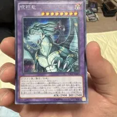 2025年最新】呪符竜 アジアの人気アイテム - メルカリ