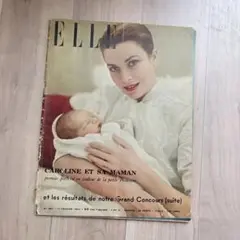 Item thumbnail for item 190153db-737f-423a-87ee-583e7595530e