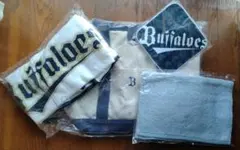 Item thumbnail for item 9e0da6d8-acbc-4d8b-bae5-551f120537f9