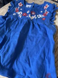 Item thumbnail for item df747f08-ec18-4497-869a-ec5ff0277b62