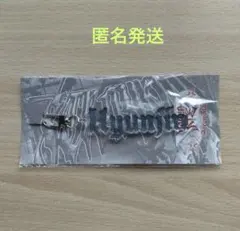 StrayKids　VR アクリルネームキーホルダー　ヒョンジン