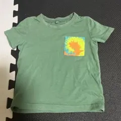 緑色 Tシャツ