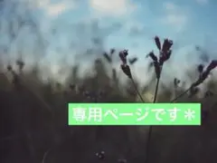 専用ページ＊4月様•*¨*•.¸♬︎