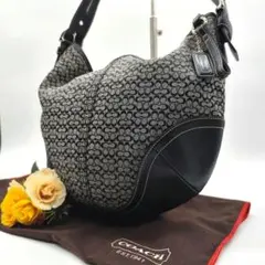 美品 Coach One Shoulder シグネチャー 入学式 卒業式